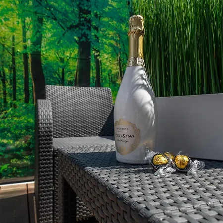 U Ledu 3* ヴェルケー・ポポヴィツェ