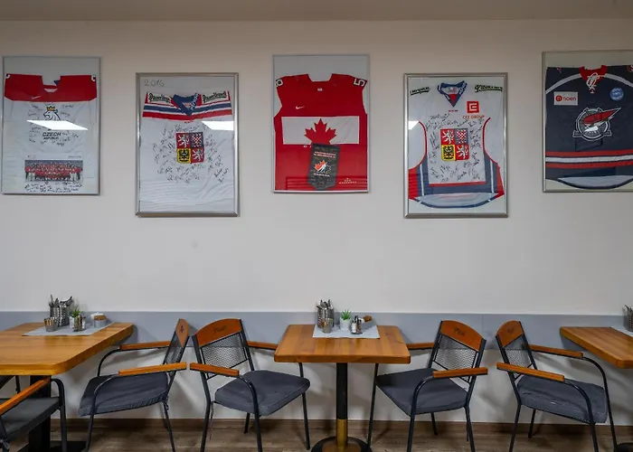 ホテル U Ledu ヴェルケー・ポポヴィツェ