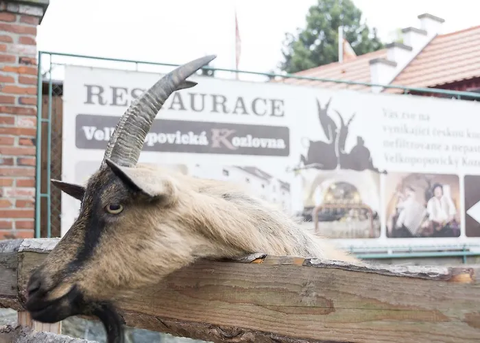 U Ledu 3* Velke Popovice