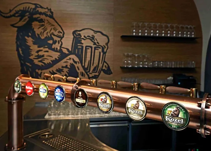 U Ledu 3* ヴェルケー・ポポヴィツェ